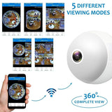 Camlight Bulb Fisheye Surveillance Camera