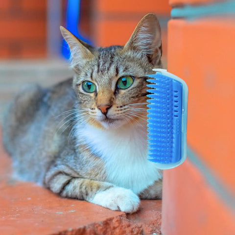 Cat Self Groomer Brush