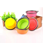 Portable Outdoor Travel Bowl for Dog